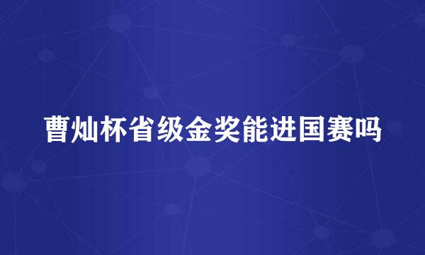 曹灿杯省级金奖能进国赛吗