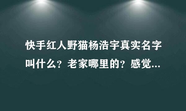 快手红人野猫杨浩宇真实名字叫什么？老家哪里的？感觉他又帅又酷