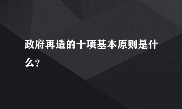 政府再造的十项基本原则是什么？