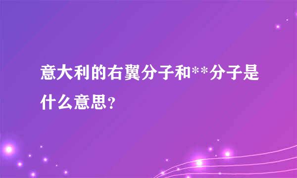 意大利的右翼分子和**分子是什么意思？