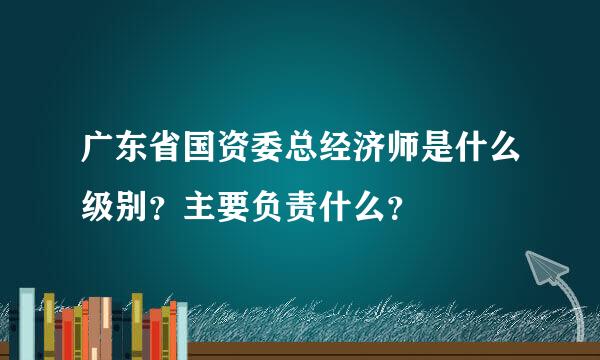 广东省国资委总经济师是什么级别？主要负责什么？