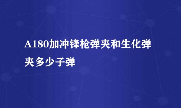 A180加冲锋枪弹夹和生化弹夹多少子弹