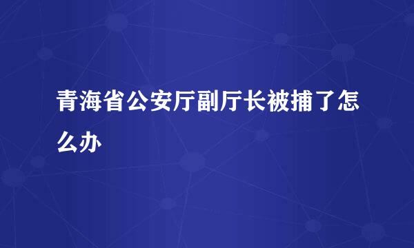 青海省公安厅副厅长被捕了怎么办