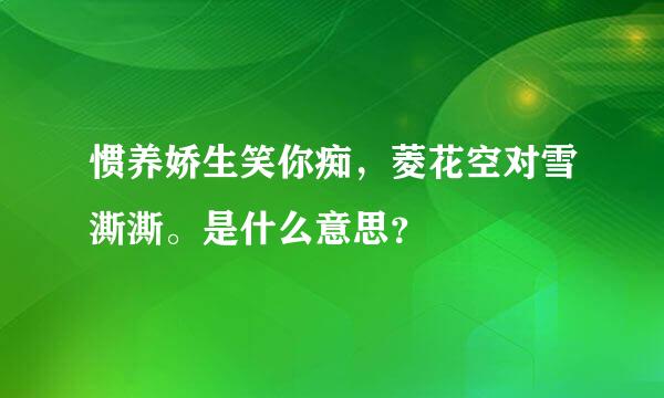 惯养娇生笑你痴，菱花空对雪澌澌。是什么意思？