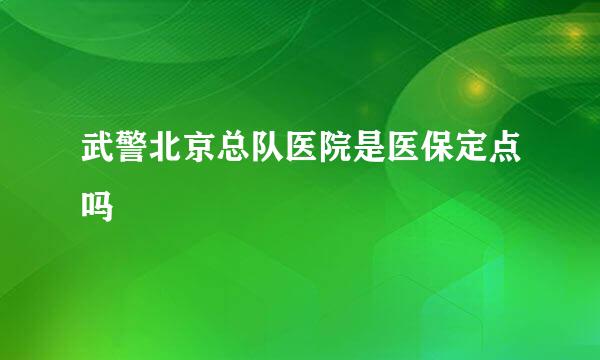 武警北京总队医院是医保定点吗