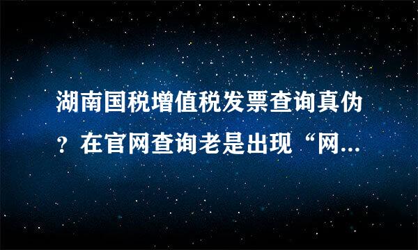 湖南国税增值税发票查询真伪？在官网查询老是出现“网络或服务出现异常，请稍后再试”。