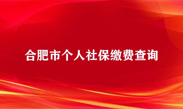 合肥市个人社保缴费查询