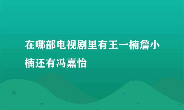 在哪部电视剧里有王一楠詹小楠还有冯嘉怡