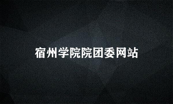 宿州学院院团委网站