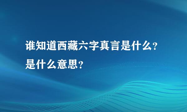 谁知道西藏六字真言是什么？是什么意思？