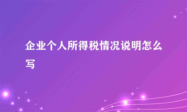 企业个人所得税情况说明怎么写