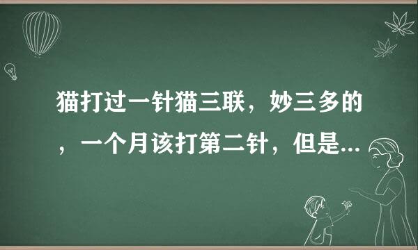 猫打过一针猫三联，妙三多的，一个月该打第二针，但是过了一个半月了，不能连着打了，得重新打，我不想给