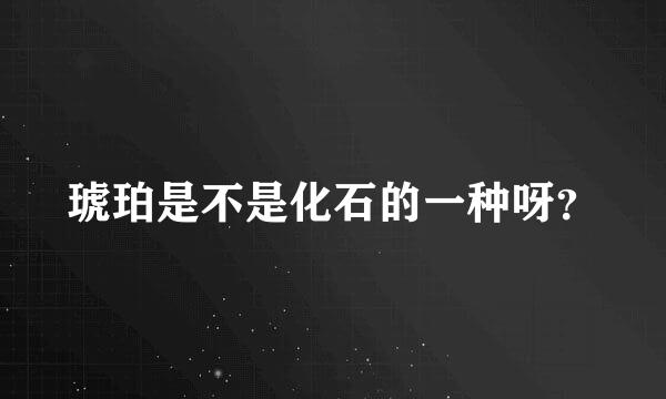 琥珀是不是化石的一种呀？