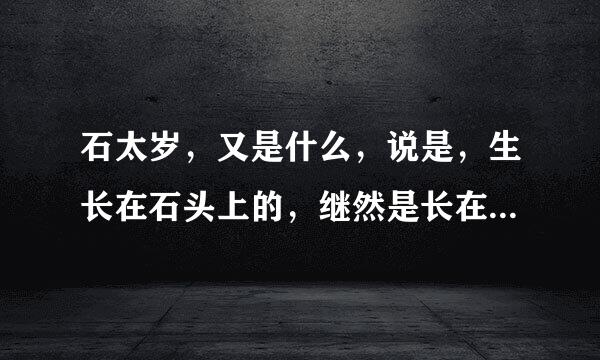 石太岁，又是什么，说是，生长在石头上的，继然是长在石头上，那和乳石又有啥区别，看我这块石头又是啥。