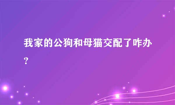 我家的公狗和母猫交配了咋办？