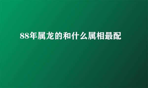 88年属龙的和什么属相最配