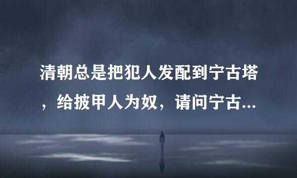 清朝总是把犯人发配到宁古塔，给披甲人为奴，请问宁古塔是什么？披甲人又是什么人呢？