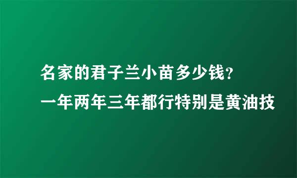 名家的君子兰小苗多少钱？ 一年两年三年都行特别是黄油技