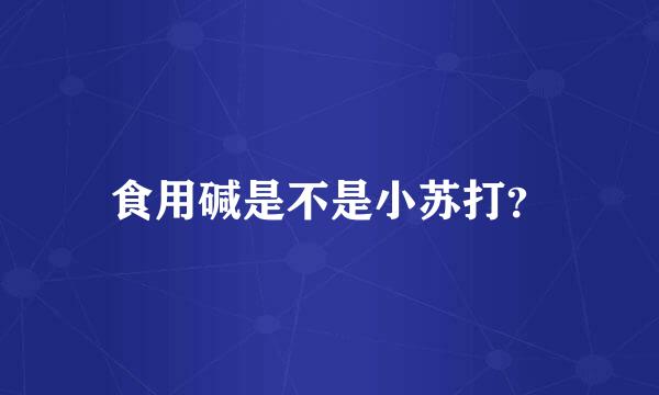 食用碱是不是小苏打？