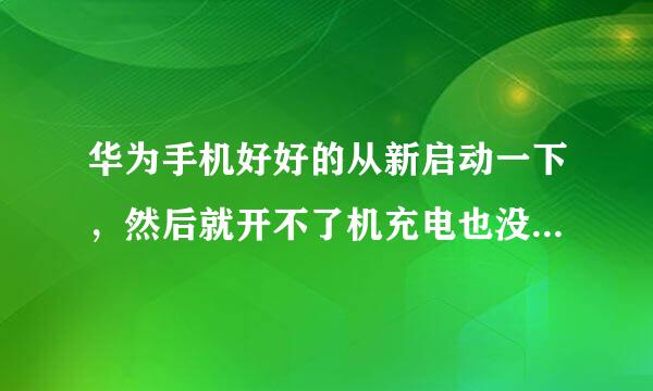 华为手机好好的从新启动一下，然后就开不了机充电也没有反应，请问这是什么问题?