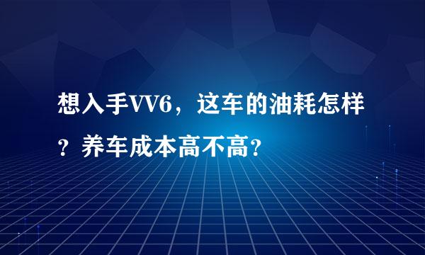 想入手VV6，这车的油耗怎样？养车成本高不高？