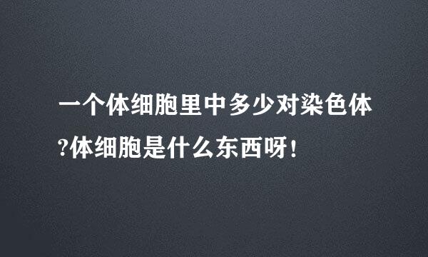 一个体细胞里中多少对染色体?体细胞是什么东西呀！