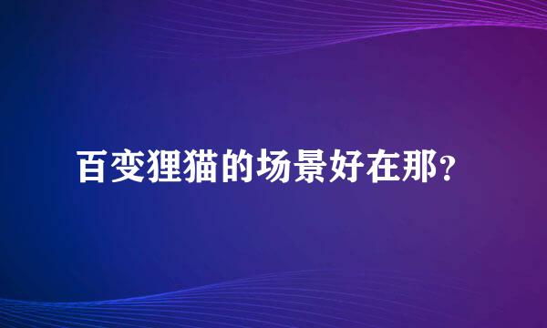 百变狸猫的场景好在那？