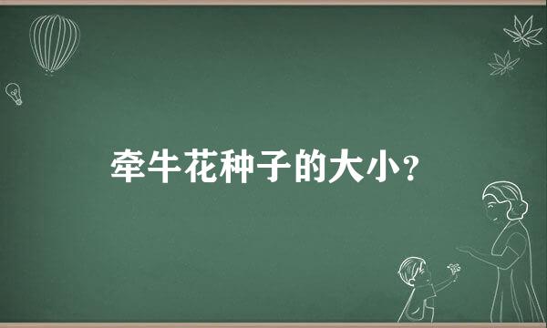 牵牛花种子的大小？