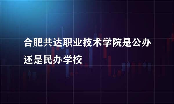 合肥共达职业技术学院是公办还是民办学校