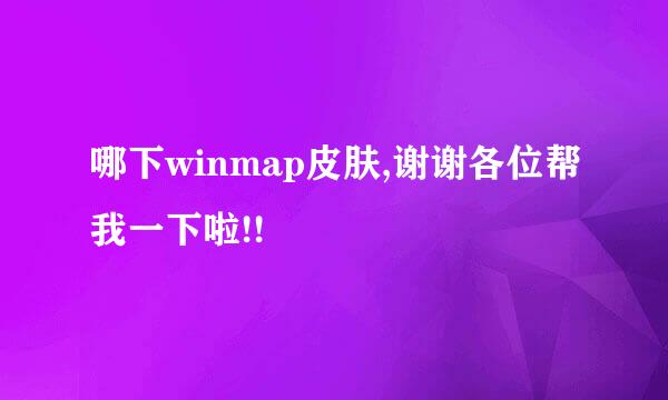 哪下winmap皮肤,谢谢各位帮我一下啦!!