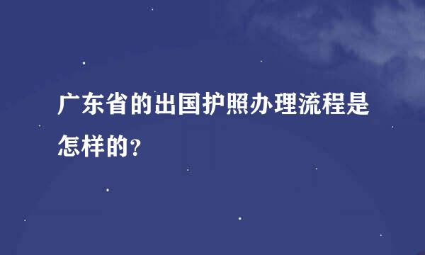 广东省的出国护照办理流程是怎样的？