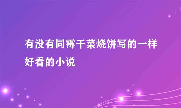 有没有同霉干菜烧饼写的一样好看的小说