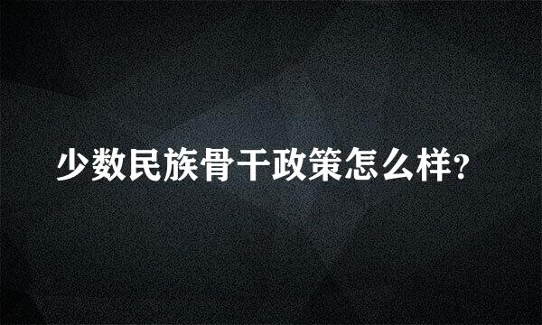 少数民族骨干政策怎么样？