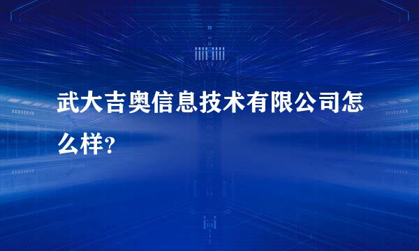 武大吉奥信息技术有限公司怎么样？