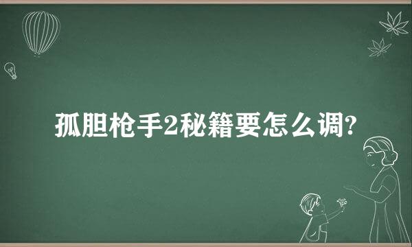 孤胆枪手2秘籍要怎么调?