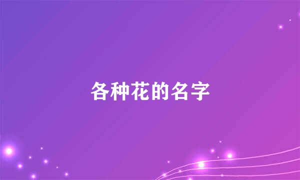 各种花的名字