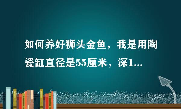 如何养好狮头金鱼，我是用陶瓷缸直径是55厘米，深15厘米可以养多少条金鱼！