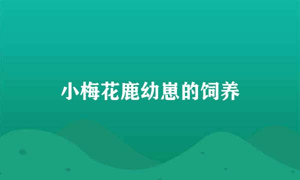 小梅花鹿幼崽的饲养