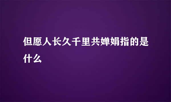 但愿人长久千里共婵娟指的是什么