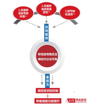 卵巢功能衰退是什么原因？