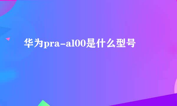 华为pra-al00是什么型号