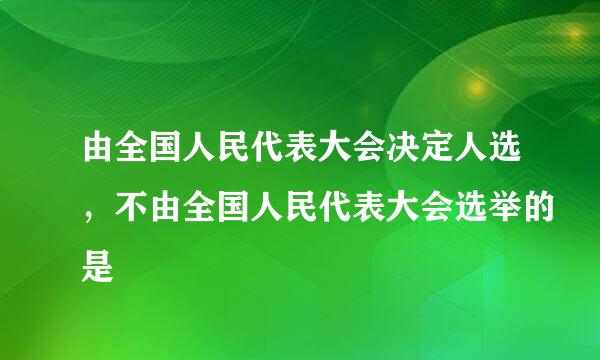 由全国人民代表大会决定人选，不由全国人民代表大会选举的是