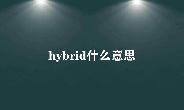 hybrid什么意思