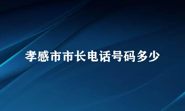 孝感市市长电话号码多少