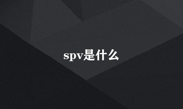 spv是什么