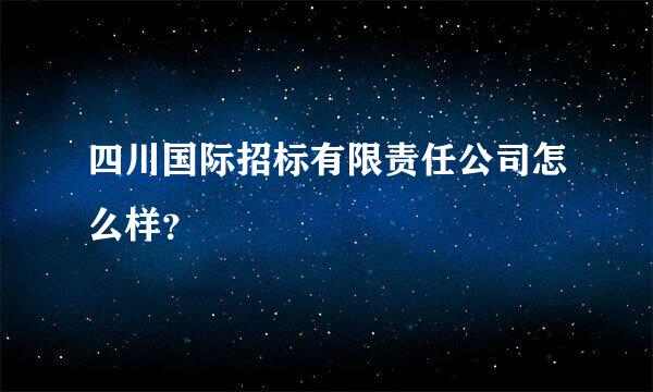 四川国际招标有限责任公司怎么样？