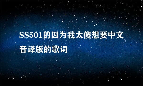 SS501的因为我太傻想要中文音译版的歌词