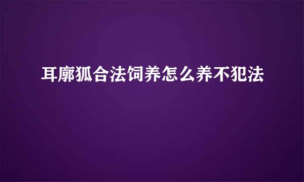 耳廓狐合法饲养怎么养不犯法