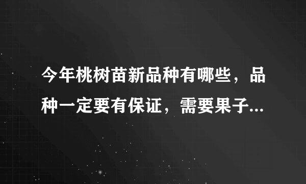 今年桃树苗新品种有哪些，品种一定要有保证，需要果子大，甜度高的新品种桃树苗，土地已经包好了，谢谢。