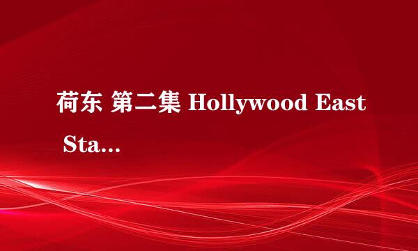 荷东 第二集 Hollywood East Star Trax 2)下载地址